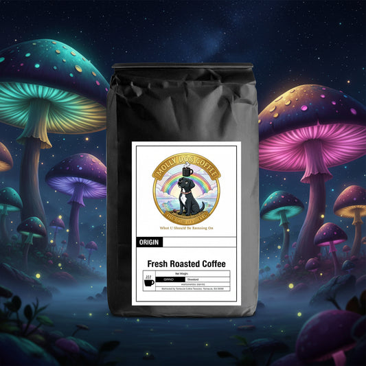 Super Shroom – Premium Instant Mushroom Coffee